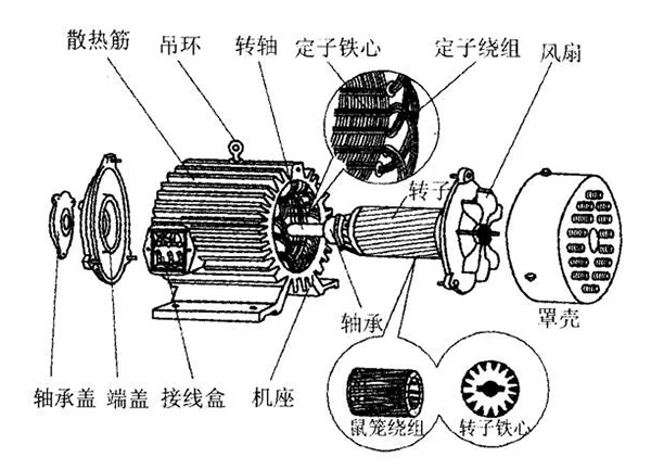 三相異步電動機的六種分類方法及具體分類。